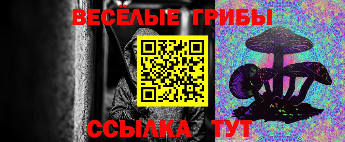 Галлюциногенные грибы мицелий  Вход с VPN  Бор 